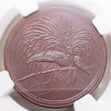 独領ニューギニア 1894A 10ペニヒ 銅貨 極楽鳥 NGC MS64BN