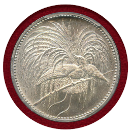 独領ニューギニア 1894A 1/2マルク 銀貨 極楽鳥 PCGS MS65