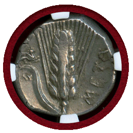 【SOLD】古代ギリシャ ルカニア メタポンタム 紀元前330-280 ステーター 銀貨 AU