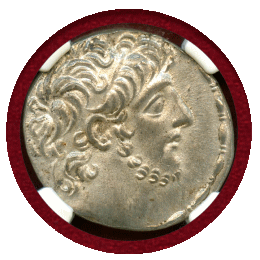 セレウコス朝シリア 紀元前114/3-95 テトラドラクマ 銀貨 アンティオコス9世 NGC MS