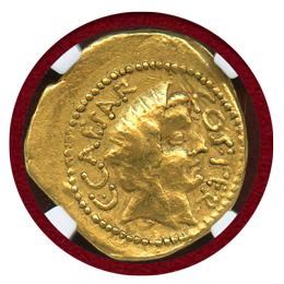 共和政ローマ 紀元前49-44年 アウレウス金貨  ユリウス・カエサル NGC Ch VF