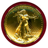 アメリカ 2009年 $20 金貨 ウルトラハイレリーフ NGC MS69
