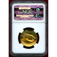 アメリカ 2009年 $20 金貨 ウルトラハイレリーフ NGC MS69