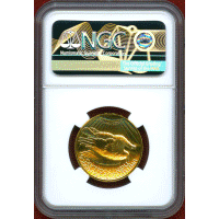 アメリカ 2009年 $20 金貨 ウルトラハイレリーフ NGC MS69DPL