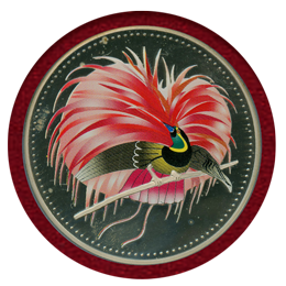 パプアニューギニア 1994年 25キナ プルーフ 銀貨 極楽鳥Colorized PF64UC