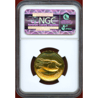 アメリカ 2009年 $20 金貨 ウルトラハイレリーフ NGC MS70PL ER