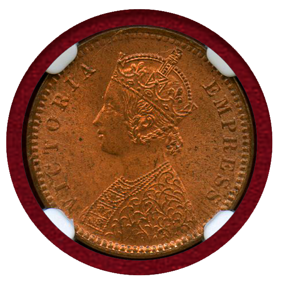 JCC | ジャパンコインキャビネット / 英領インド 1898(C) 1/12アンナ