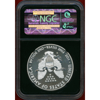 アメリカ 2013W $1 銀貨 イーグル NGC SP70 ENHANCED FINISH ER