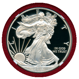 アメリカ 2013W $1 銀貨 イーグル NGC PF70UC
