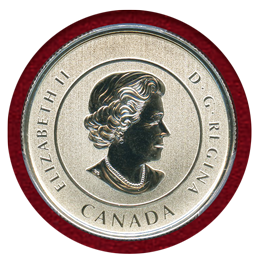 カナダ 2015年 20ドル 銀貨 スーパーマン PCGS SP68