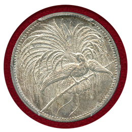 独領ニューギニア 1894A 1マルク 銀貨 極楽鳥 PCGS MS62