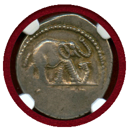 古代ローマ 紀元前49-48年 デナリウス 銀貨 ジュリアス・シーザー 象 Ch XF