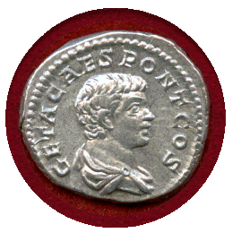 古代ローマ 198-209年 デナリウス 銀貨 ゲタ