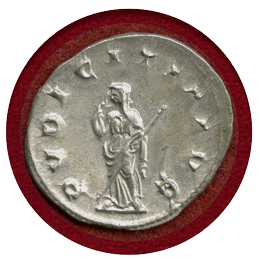 【SOLD】古代ローマ AD249-251 アントニニアヌス 銀貨 ヘレンニア エトルシーラ