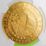 南ペルー共和国 1838MS 8エスクード 金貨 輝く太陽 火山 NGC MS63