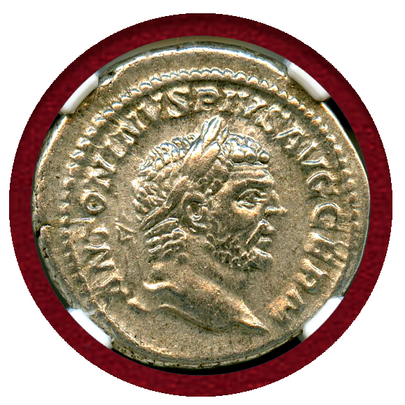 JCC   ジャパンコインキャビネット / 古代ローマ 年 デナリウス