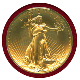 アメリカ 2009年 20ドル金貨 ウルトラハイレリーフ PCGS MS70