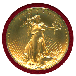 アメリカ 2009年 20ドル金貨 ウルトラハイレリーフ PCGS MS70