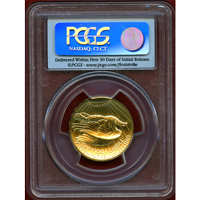 アメリカ 2009年 20ドル 金貨 ウルトラハイレリーフ PCGS MS70 FS