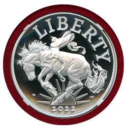 アメリカ 2013W $1 銀貨 イーグル NGC SP70 ENHANCED FINISH ER