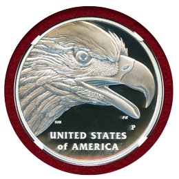 アメリカ 2013W $1 銀貨 イーグル NGC SP70 ENHANCED FINISH ER