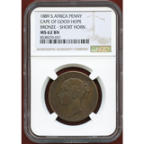 南アフリカ 喜望峰 1889年 ペニー 銅貨 試作貨 ヴィクトリア NGC MS62BN